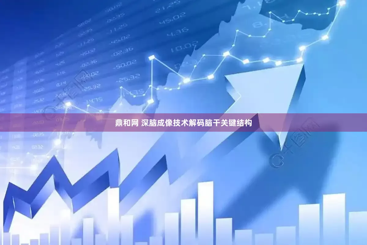 鼎和网 深脑成像技术解码脑干关键结构