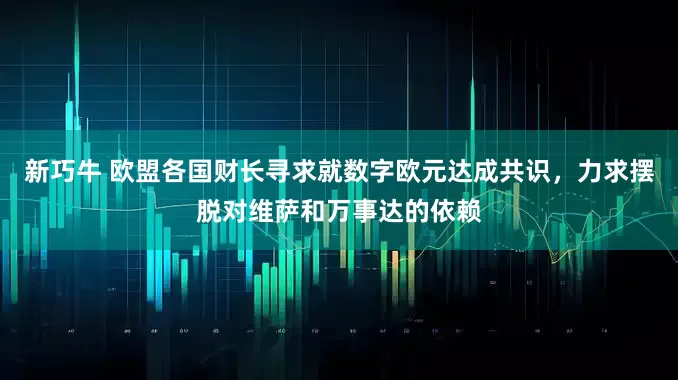 新巧牛 欧盟各国财长寻求就数字欧元达成共识，力求摆脱对维萨和万事达的依赖